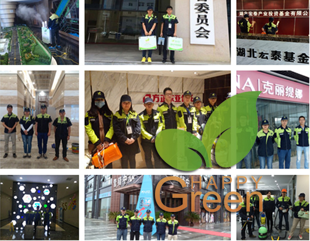 企事業(yè)單位除甲醛案例