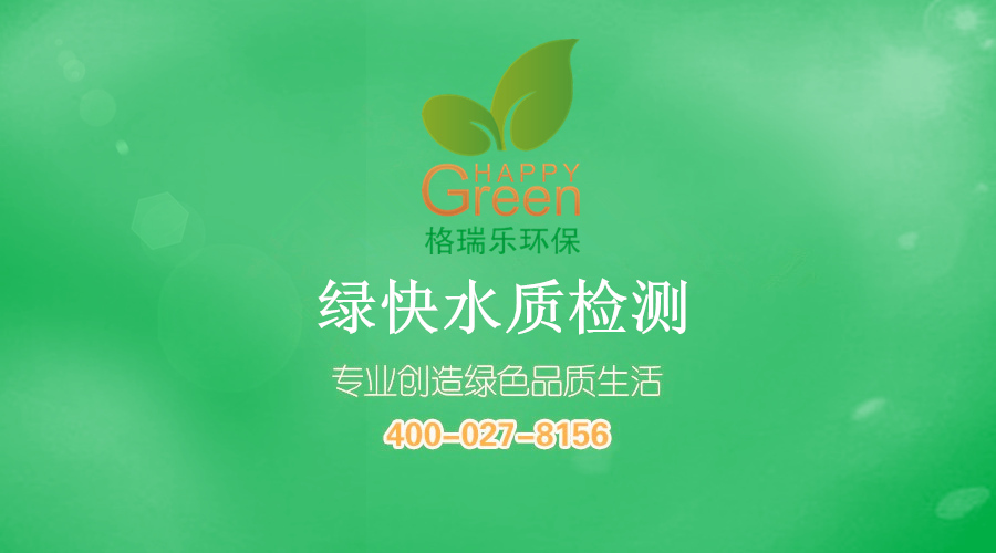 武漢除甲醛公司排名