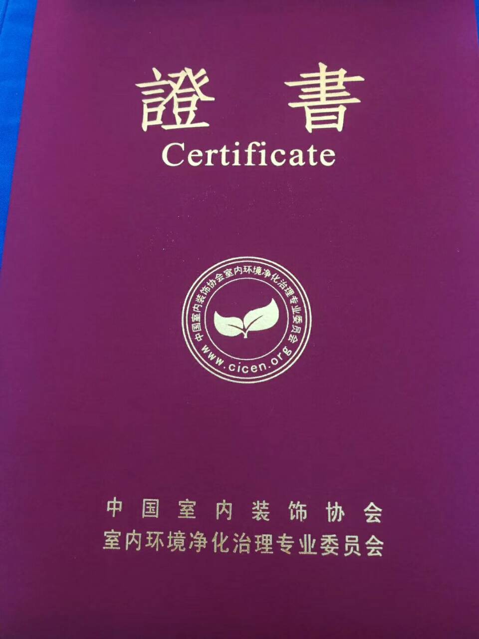 中國凈化委，湖北技術(shù)中心，王貴軍先生，副主任委員