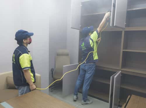 格瑞樂(lè)環(huán)保，搞邪了！”——一個(gè)武漢“歪果仁”的除醛初體驗(yàn)