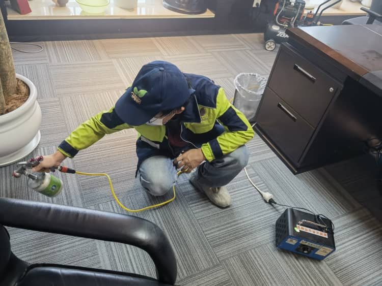 武漢裝修季！跟甲醛過招，這2步讓你不踩坑